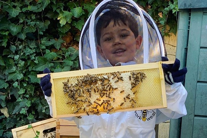 Discover active beehives in London - Photo 1 of 8